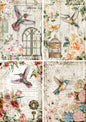 HUMMINGBIRD FOUR PACK