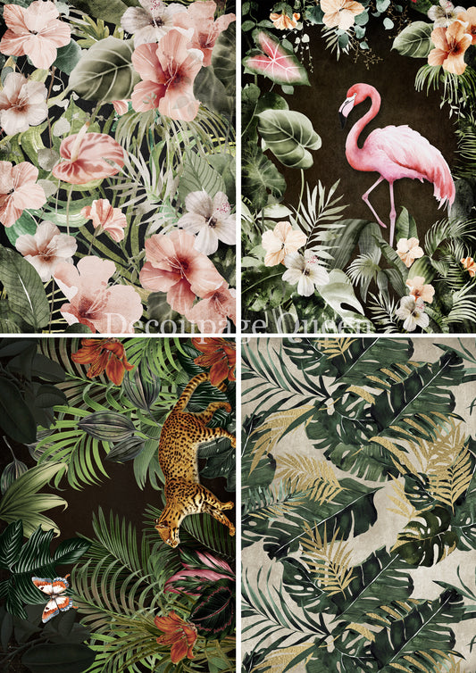 TROPICAL FOUR PACK