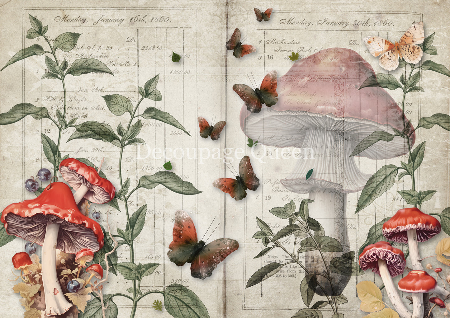 MUSHROOM FANTASY