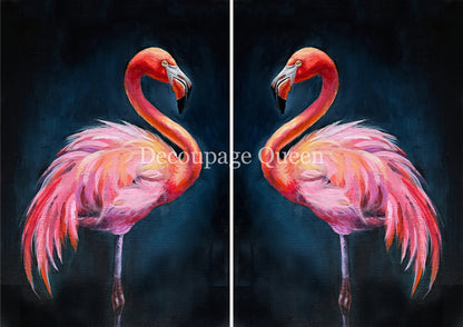 DOUBLE FLAMINGO