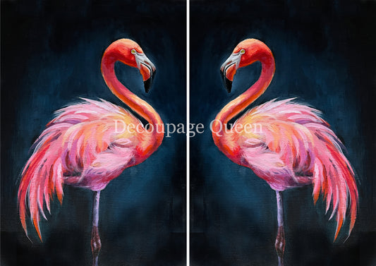 DOUBLE FLAMINGO
