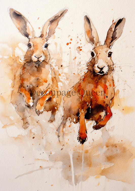 ANDY SKINNER- HARE SPRAY