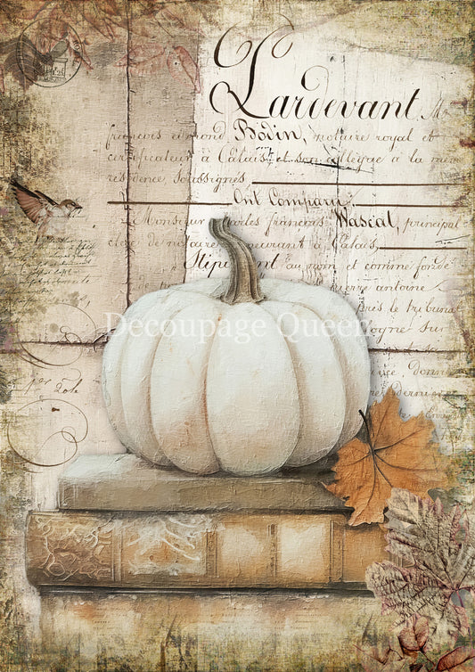 COTTAGE PUMPKINS 1- FALL 2025 COLLECTION
