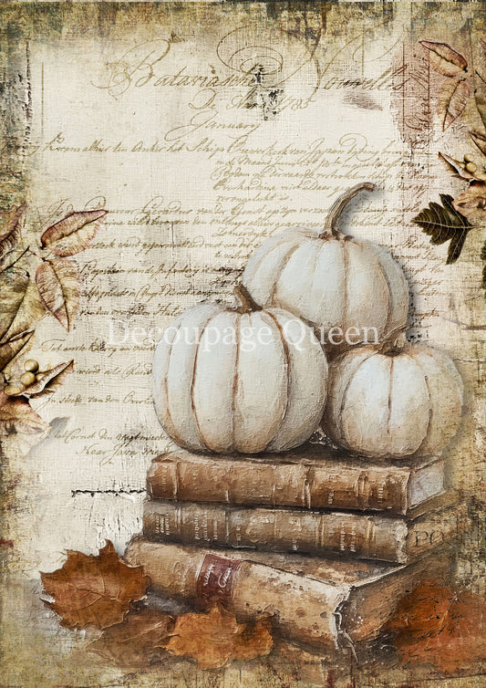 COTTAGE PUMPKINS 2- FALL 2025 COLLECTION