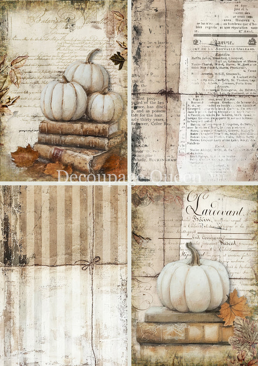 COTTAGE PUMPKINS 4 PACK- FALL 2025 COLLECTION