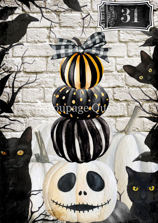 TALL PUMPKINS- FALL 2025 COLLECTION