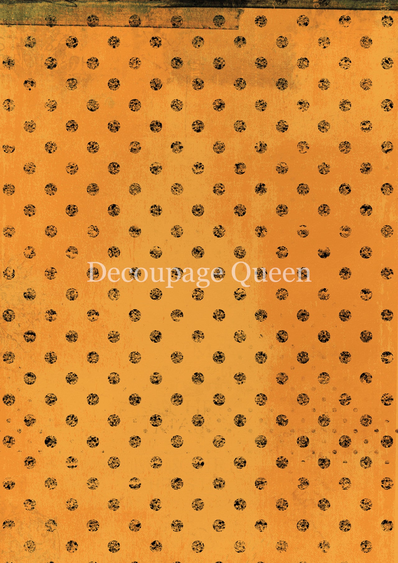ORANGE DOTS- FALL 2025 COLLECTION