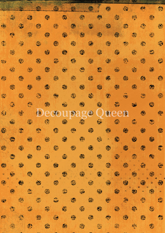 ORANGE DOTS- FALL 2025 COLLECTION