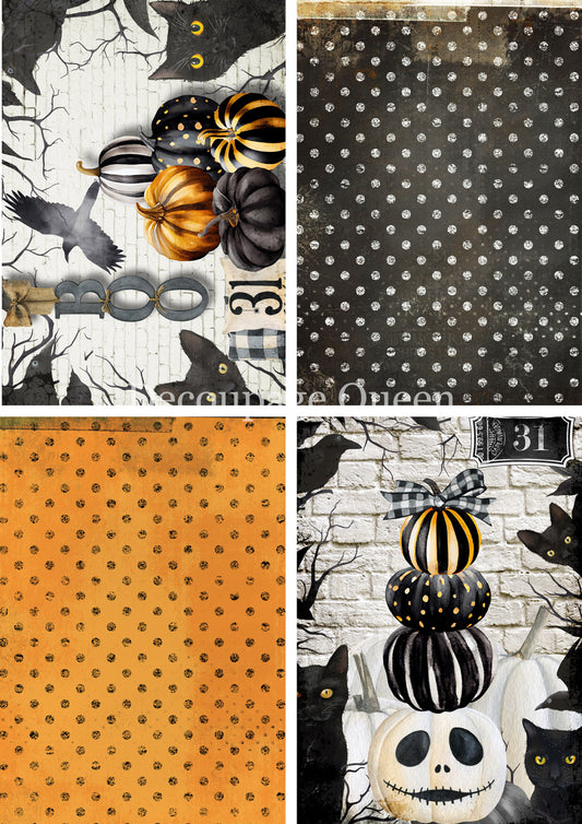 ORANGE & BLACK 4 PACK- FALL 2025 COLLECTION