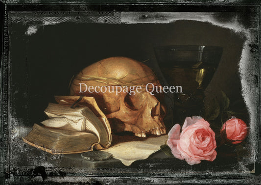 VANITAS 1- FALL 2025 COLLECTION