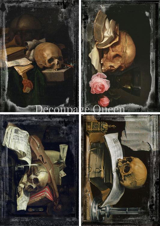 OLD MASTERS VANITAS 4 PACK- FALL 2025 COLLECTION