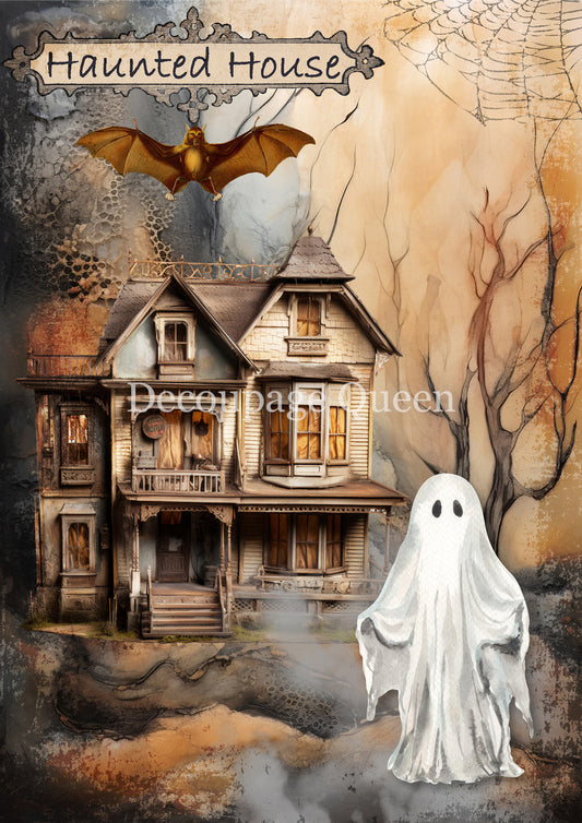 HAUNTED HOMECOMING- FALL 2025 COLLECTION