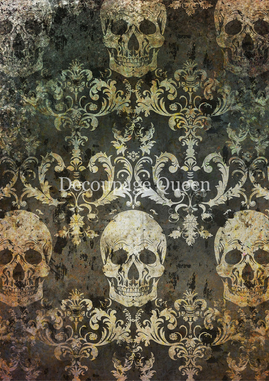 GRUNGE SKULLS- FALL 2025 COLLECTION