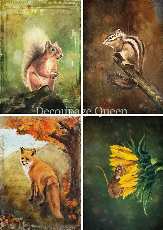 WOODLAND CREATURES 4 PACK- FALL 2025 COLLECTION