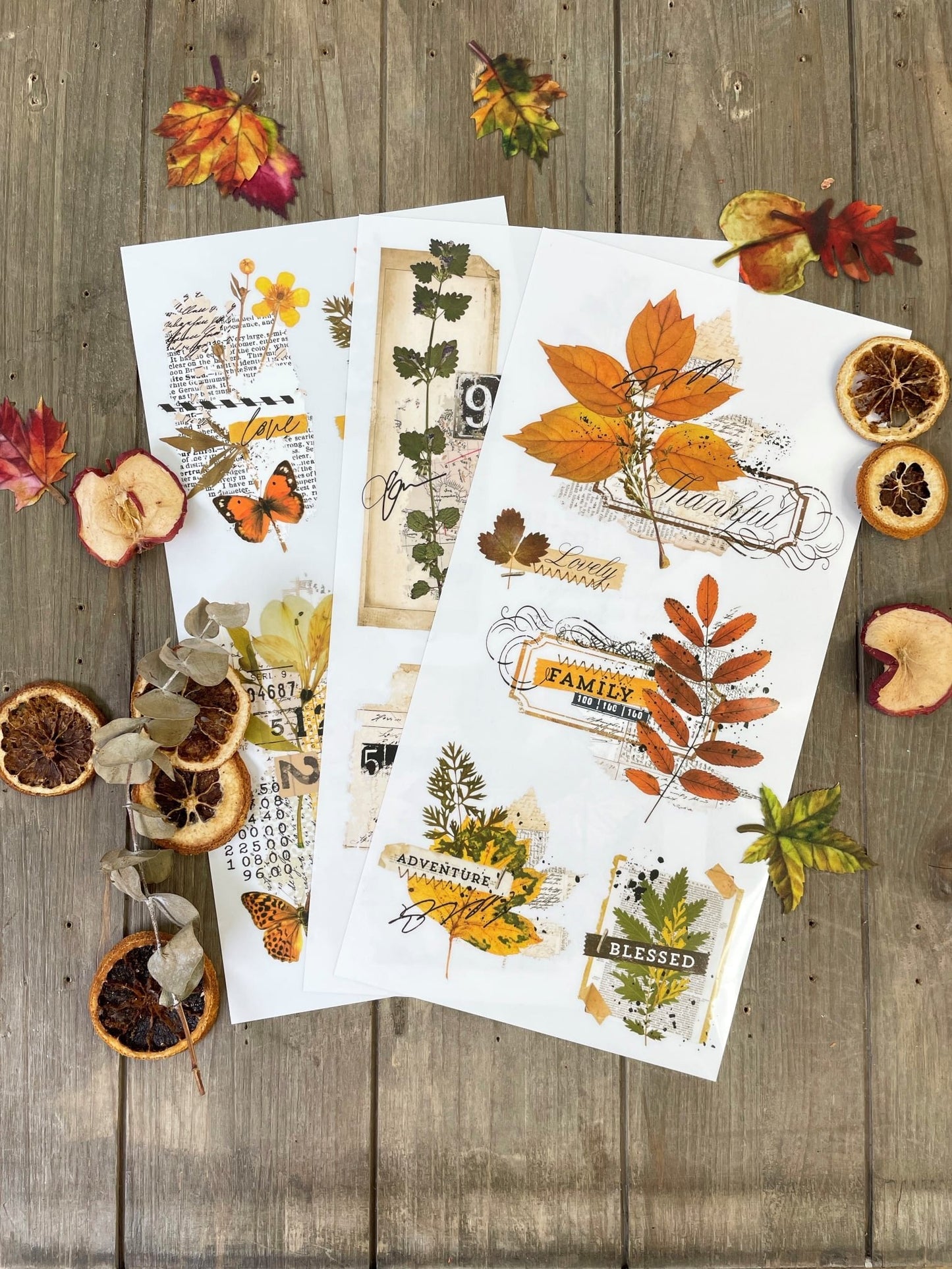 FOLIAGE COLLECTOR