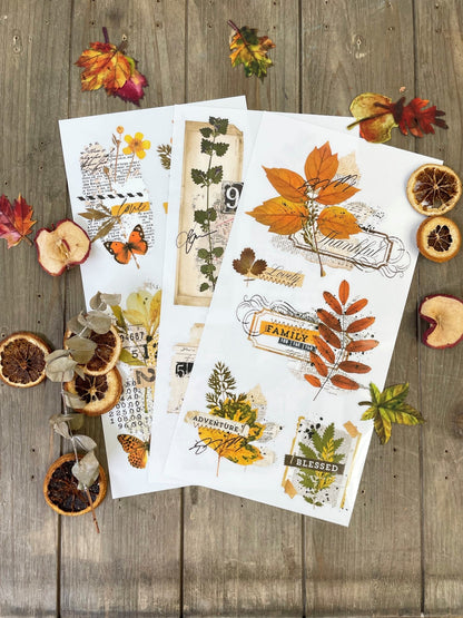 FOLIAGE COLLECTOR