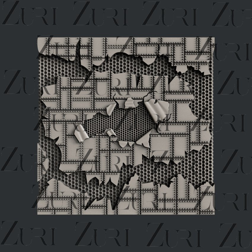 METAL PLATE