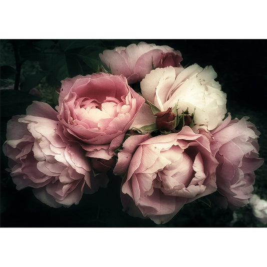 MOODY FLORALS