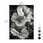 MOONLIGHT MATILIJIA *NEW- LIMITED EDITION*