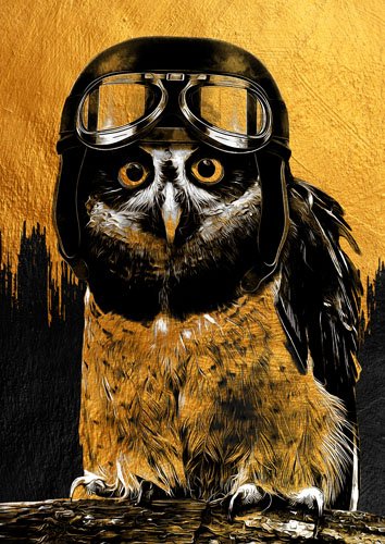 OWL