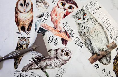 OWL