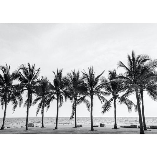 PALM TREES