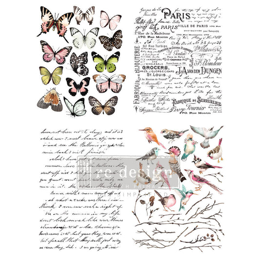PARISIAN BUTTERFLIES