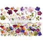 PRESSED FLOWERS
