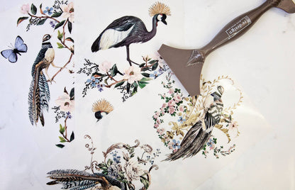 RARE BIRDS