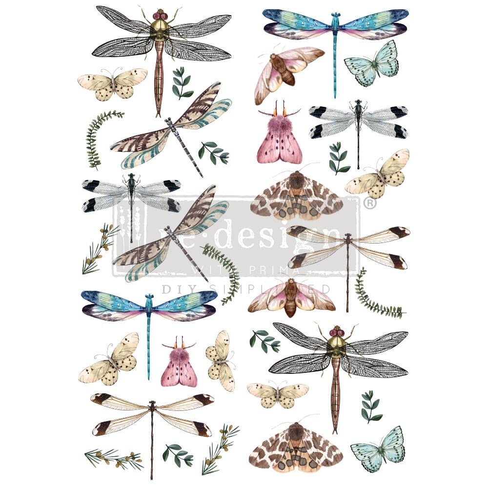 RIVERBED DRAGONFLIES