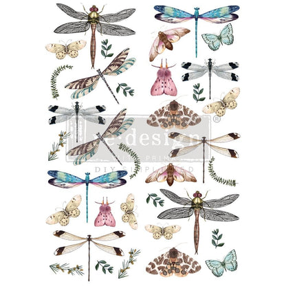 RIVERBED DRAGONFLIES