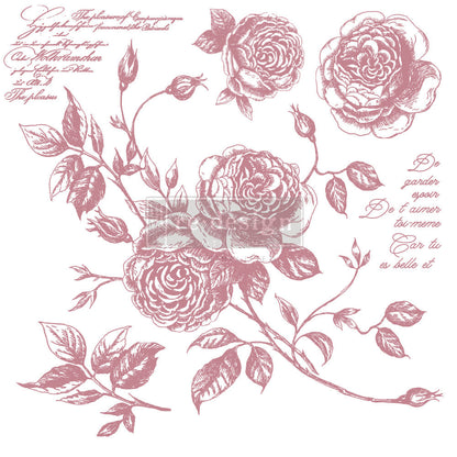 ROMANCE ROSES