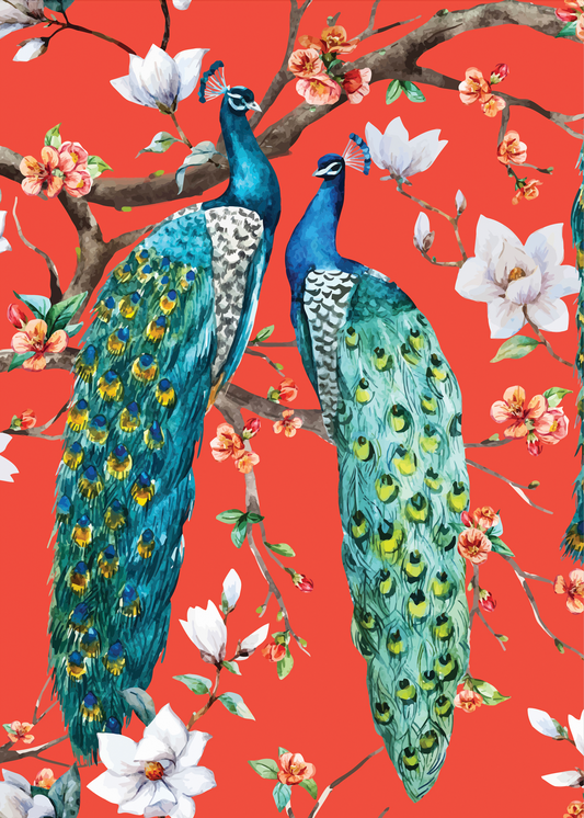CORAL PEACOCKS