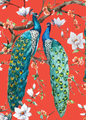CORAL PEACOCKS
