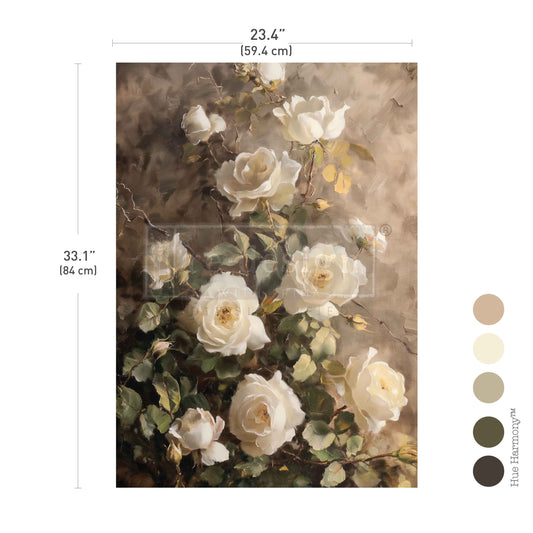 SILENT BEAUTY *NEW- LIMITED EDITION*