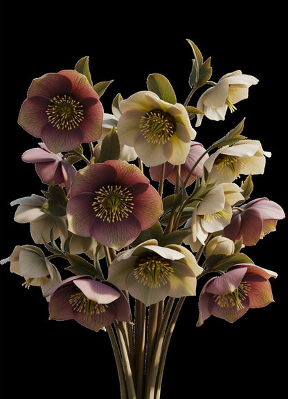 STILL IN BLOOM