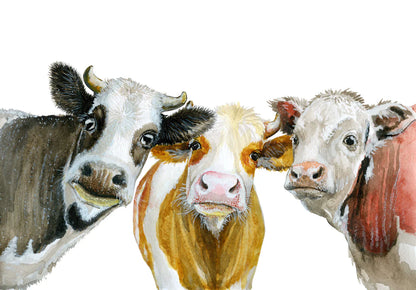 THREE WISE COWS