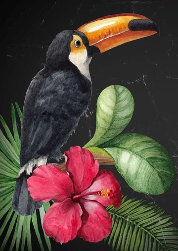 TOUCAN