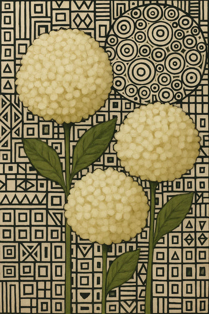 WHITE HYDRANGEA