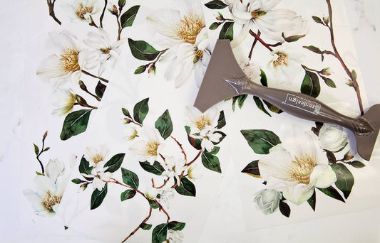WHITE MAGNOLIA