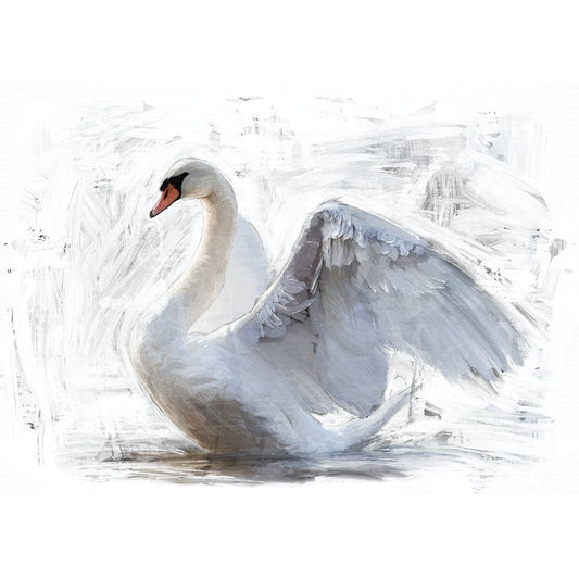 WHITE SWAN