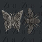 WINGS OF BEAUTY