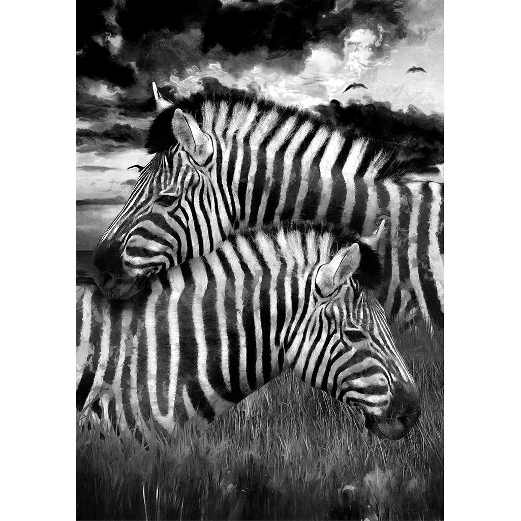 ZEBRAS