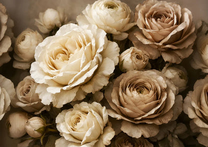 ANTIQUE CREAM