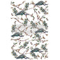 AVIAN SANCTUARY