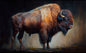 BISON
