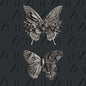 BUTTERFLY DANCE