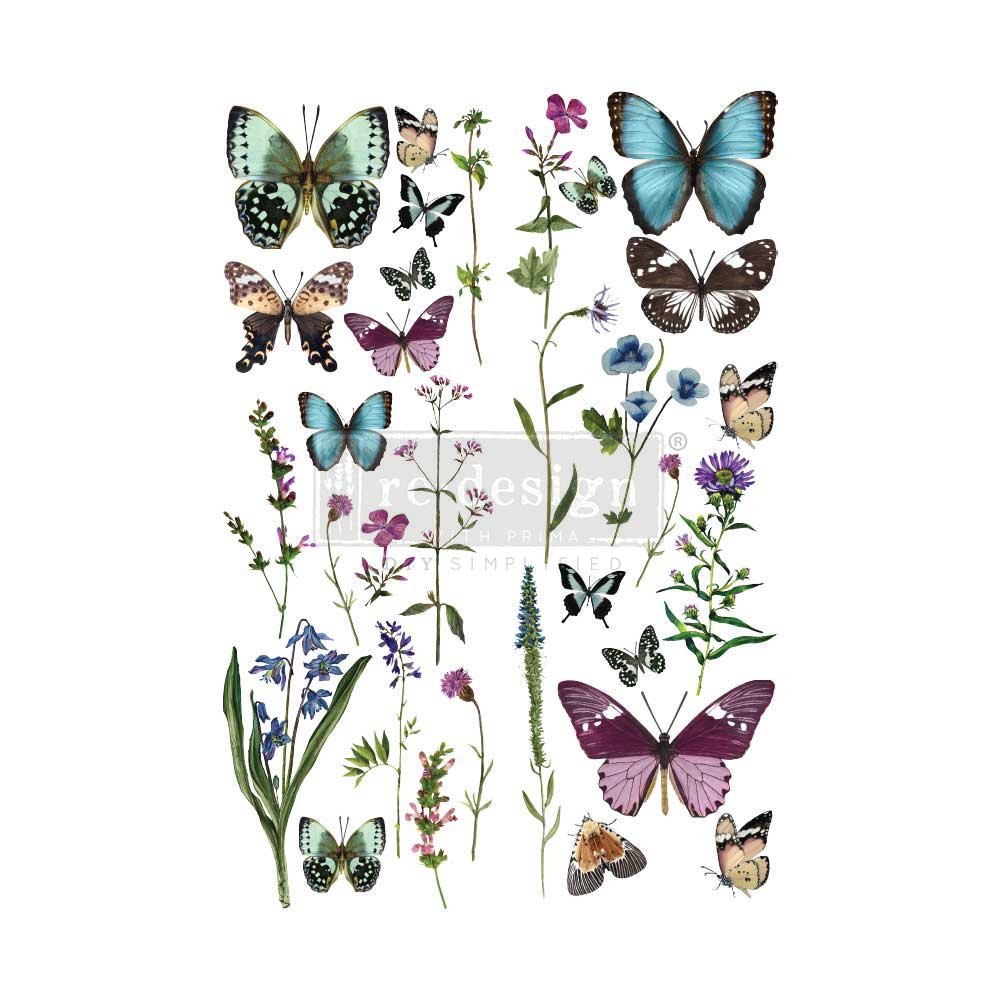 BUTTERFLY OASIS *TO BE DISCONTINUED*