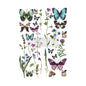 BUTTERFLY OASIS *TO BE DISCONTINUED*