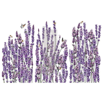 CHAMPS DE LAVENDE